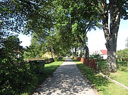 Pirčiupiai 65446, Lithuania - panoramio (15).jpg