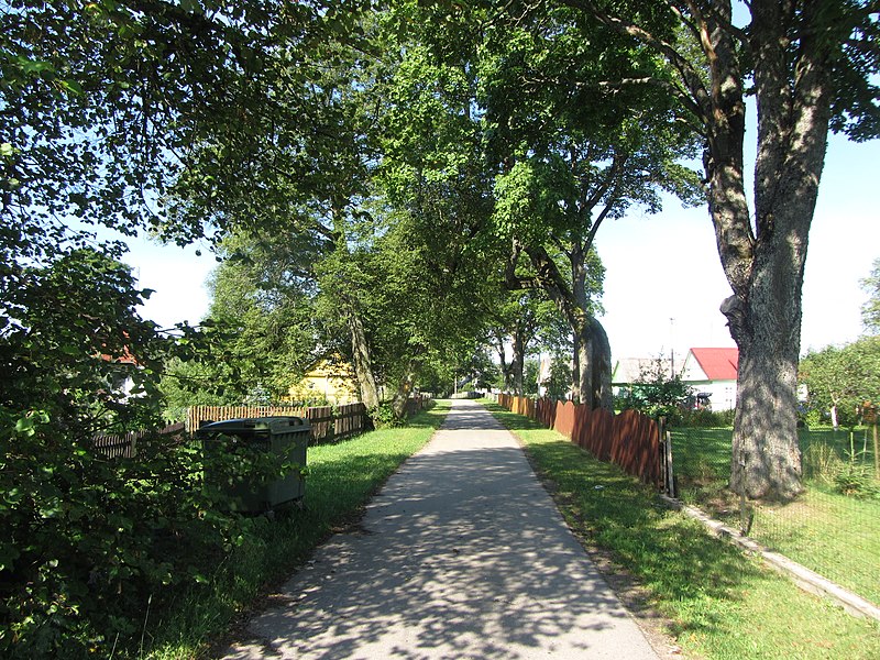File:Pirčiupiai 65446, Lithuania - panoramio (15).jpg