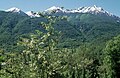 Valle Stura di Delmonte