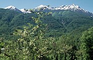 Valle Stura di Delmonte