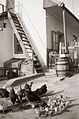 Poultry, barrel, stairs Fortepan 13808.jpg
