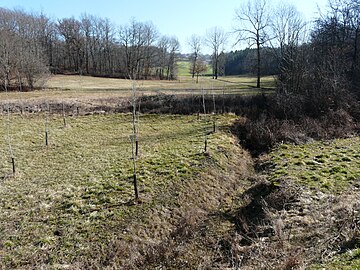 Le Pré Pinson à sec, à Cantillac.