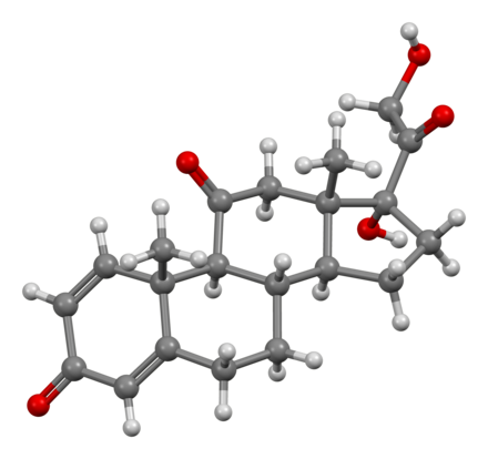 Prednisone-from-xtal-3D-bs-17.png