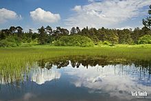 Priddy Pools rybník krajina obraz