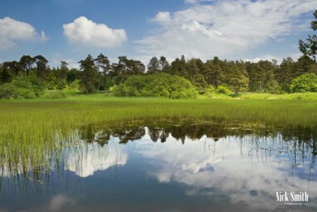 Priddy pond reflective lake