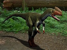 Proceratosaurus NT.jpg