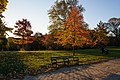 * Nomination Trees in autumn, Prospect Park. --King of Hearts 08:23, 30 September 2017 (UTC) * Promotion Good quality. -- Johann Jaritz 08:55, 30 September 2017 (UTC)