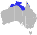 Range of the Northern Hooded Scaly-foot (Pygopus steelescotti)