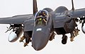 RAF F-15E Strike Eagle Iraq 2004.jpg