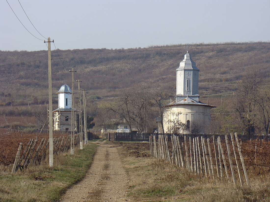 Săsenii Noi