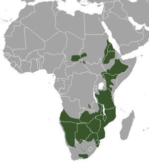 Range map of the Greater Kudu.png