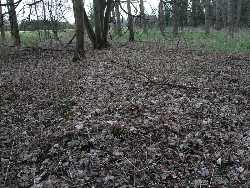 File:Razed dispersed site near former RAF Down Ampney airfield - geograph.org.uk - 3295566.jpg