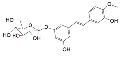 Chemische Struktur von Rhaponticin