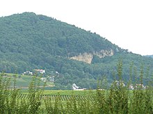 Ehemaliger Steinbruch bei Frankweiler an Ringelsberg