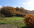 Blick auf den Schanzenkopf des Ringwalls