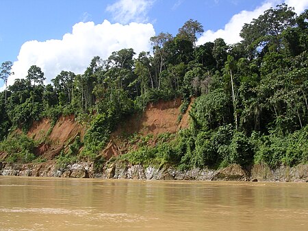 Fail:Rio Madre de Dios, Peru.JPG