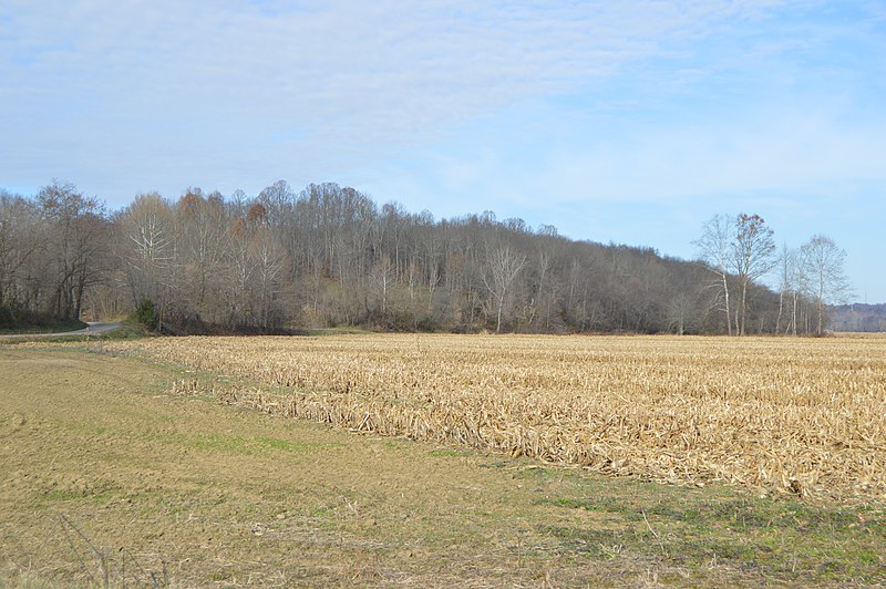 File:River Road stubble field.jpg