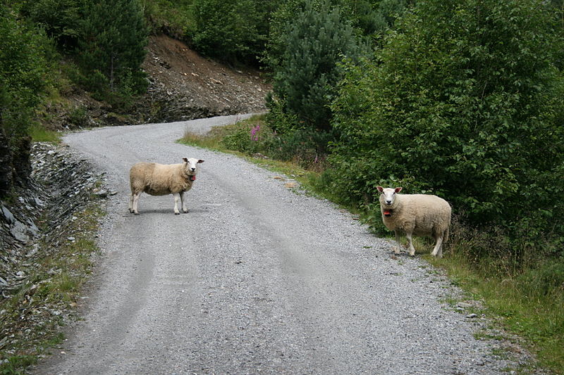 File:Road Block 01.jpg