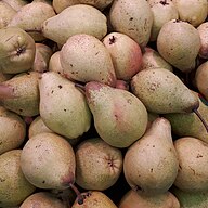 State Fruit of Argentina