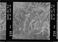 Kodak B&W infrared film with 700-800 nm bandpass filter