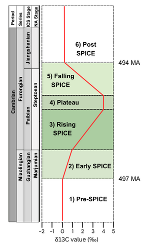 The six stages of the SPICE. The red line indicates the d13C value. Plot modified from Pulsipher et al., 2021 and Zhang et al., 2023. SPICE Plot.png