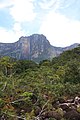Salto del Angel, Canaima - panoramio (11).jpg