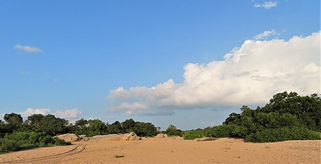 Droë sandbedding in Sabi Sand, 2019