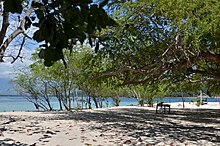 Malawa Island, Zambales Sands and Trees.JPG
