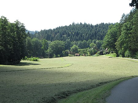 Schweizerbach Haselbach 3