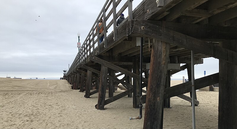 File:Seal Beach pier underbelly (51030173257).jpg