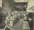 Seattle Daily Times composing room 01 - 1900.jpg