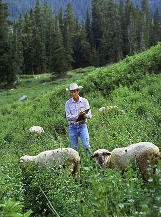 <span class="mw-page-title-main">U.S. Sheep Experiment Station</span> Agricultural experiment station focusing on domestic sheep