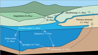 <span class="mw-page-title-main">Silicon isotope biogeochemistry</span> The study of environmental processes using the relative abundance of Si isotopes