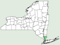 Sida spinosa NY-dist-map.png