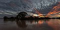 * Nomination Silhouette of an island with a giant Samanea saman (rain tree) at dusk with red and grey clouds, in Don Det, Si Phan Don, Laos. --Basile Morin 04:00, 22 February 2021 (UTC) * Promotion  Support Good quality -- Johann Jaritz 04:20, 22 February 2021 (UTC)