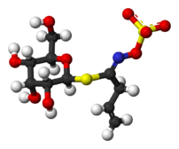 Ball-and-stick model of the anion in sinigrin