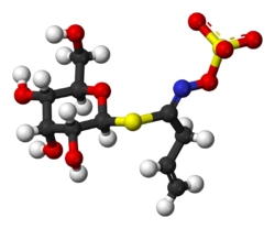 model molecular