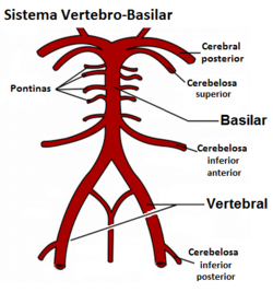 Hipertensión arterial - Wikipedia, la enciclopedia libre