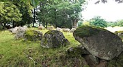 Skeppssättning på Johannishus gravfält, Blekinge.