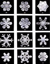 SnowflakesWilsonBentley.jpg