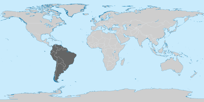 File:South America in the World (grey).svg