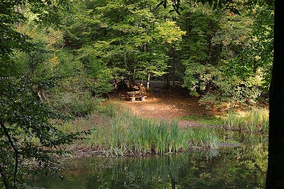 lonely bench in Spessart