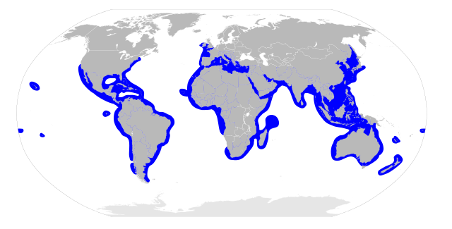 Distribución dos esfírnidos