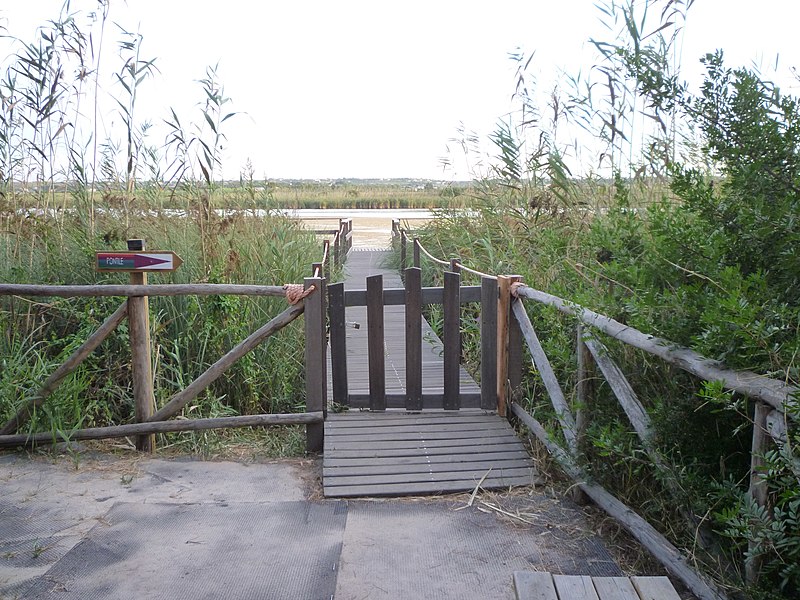 File:Stagno di Platamona - pontile.JPG