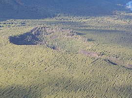 Starr-141025-2369-Casuarina equisetifolia-въздушен изглед Калаупапа и кратер Каухако-Северно крайбрежие-Молокай (25247592885) .jpg