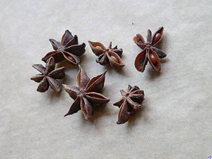Fruits of real star anise (Illicium verum) as a spice