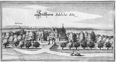 Stillhorn (Merian)