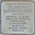 Stolperstein für Dr. Marjana Baumgarten-Briski (Ljubljana).jpg