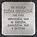 Stolperstein für Eliska Groáková.JPG