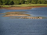 Steinsetzung im Loch Awe